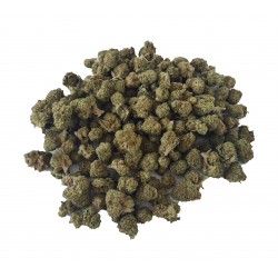 Fleurs de CBD légal Indoor Small BUD 7%