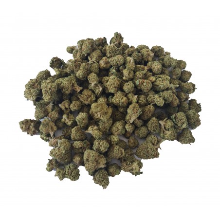 Fleurs de CBD légal Indoor Small BUD 7%